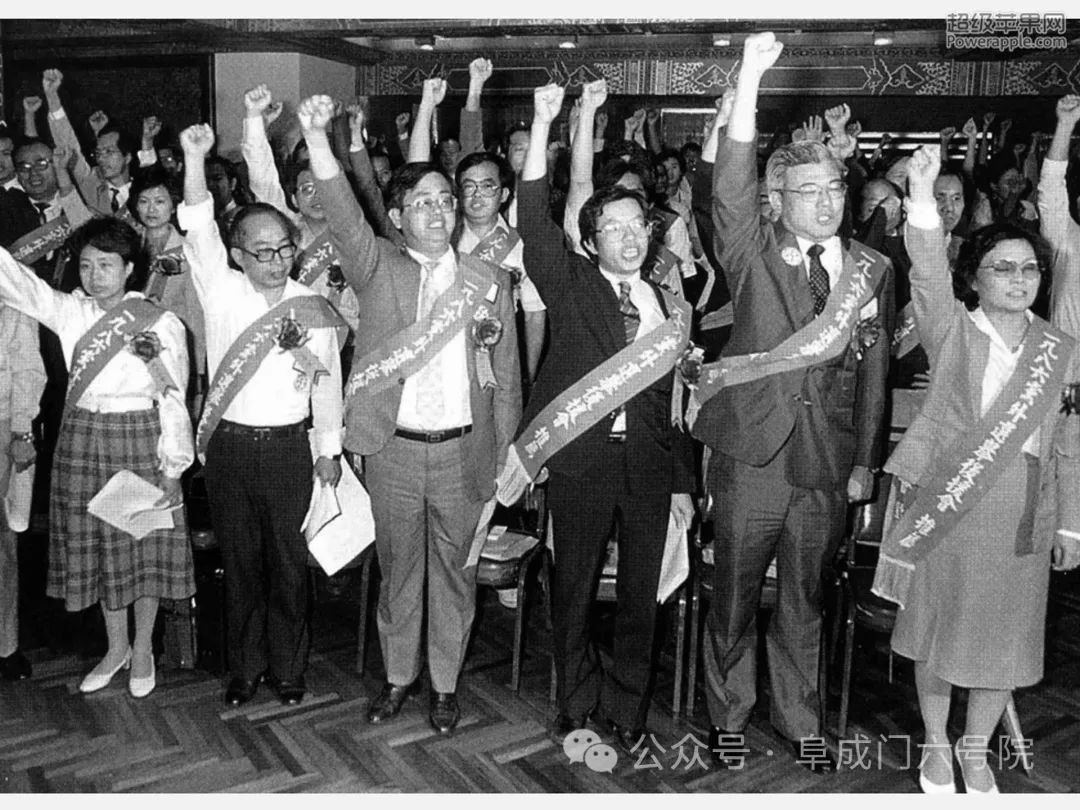 民进党的堕落史及台湾的政治社会衰败